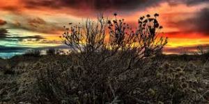 Photo Source Pah Rah