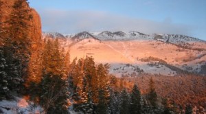 Schell-Creek-5-451x250